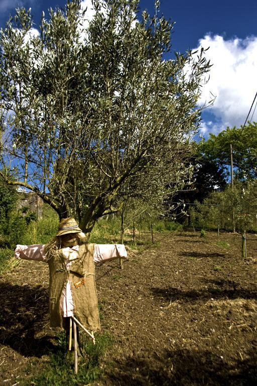 Вілла Agriturismo Satanca Арбус Екстер'єр фото